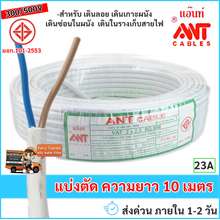 ราคา Ant ที่ถูกที่สุดในประเทศไทย มีให้เลือกอีกมากมาย ก.ค. 2023